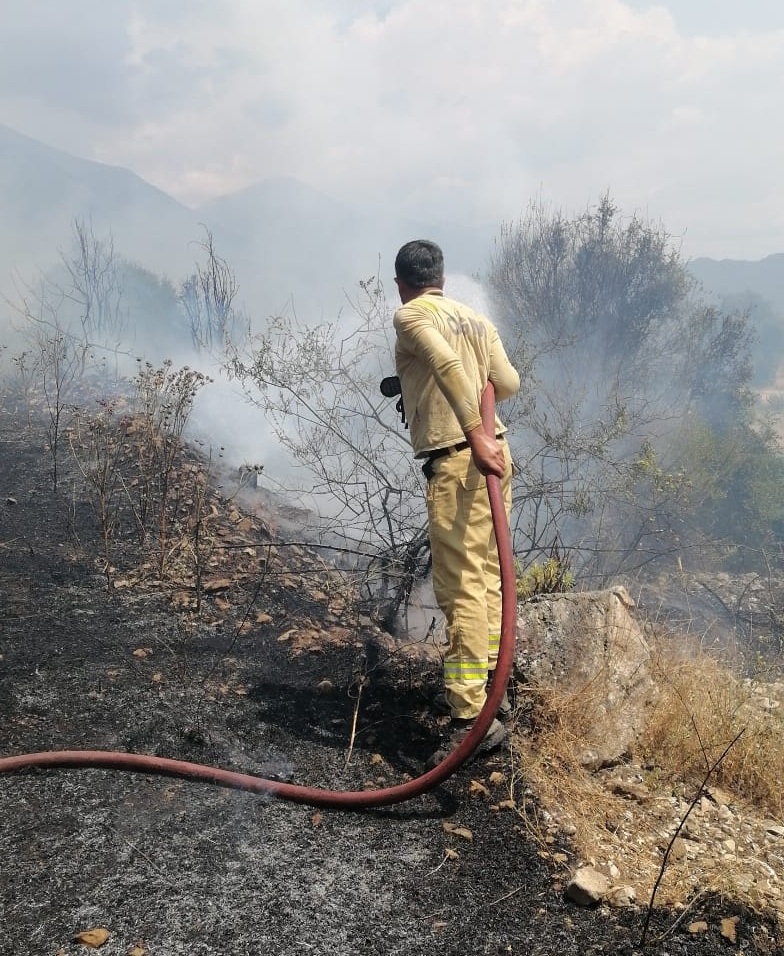 Manisa'nın Kırkağaç ilçesinde kontrol altına alınan orman yangını yeniden başladı