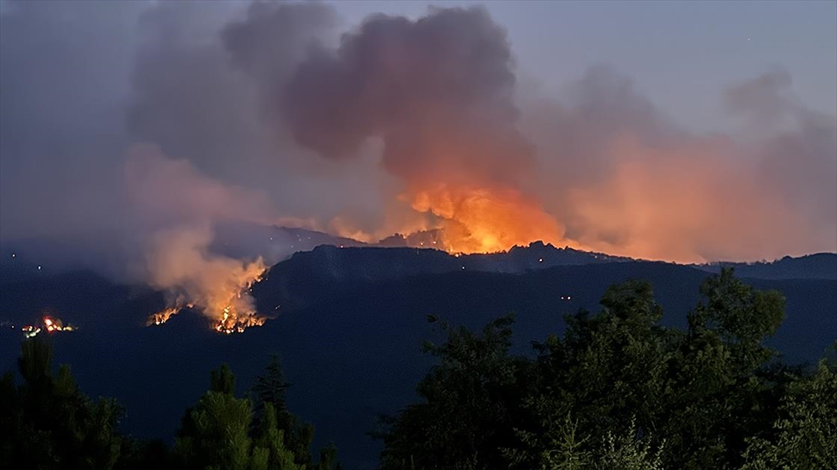 Kalpleri sızlatan hikaye, orman yangınında şehit olan ormancı yeni evlenmiş
