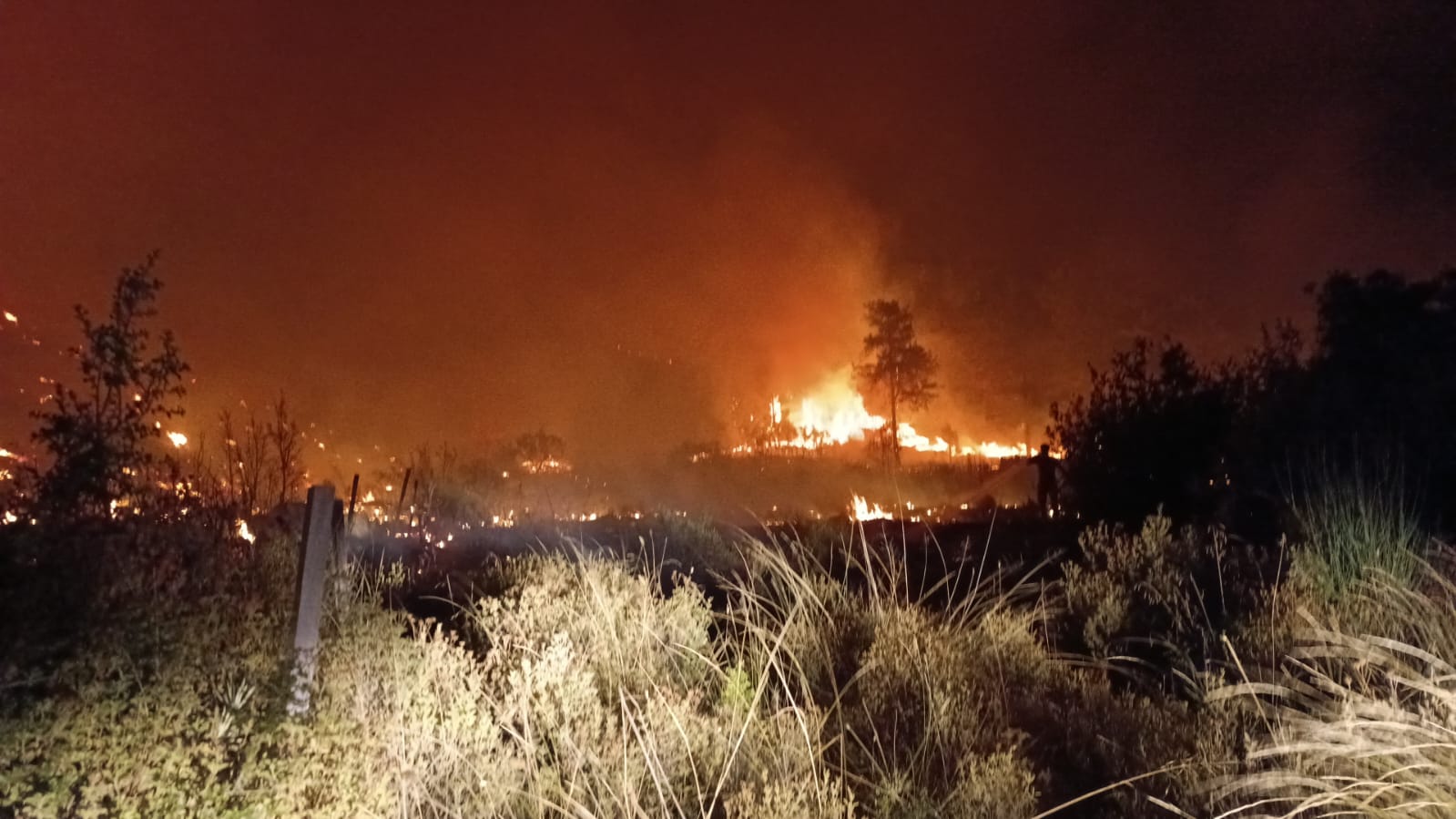 Antalya'da korku dolu anlar! Alevler Serik’te Duvara Çarptı