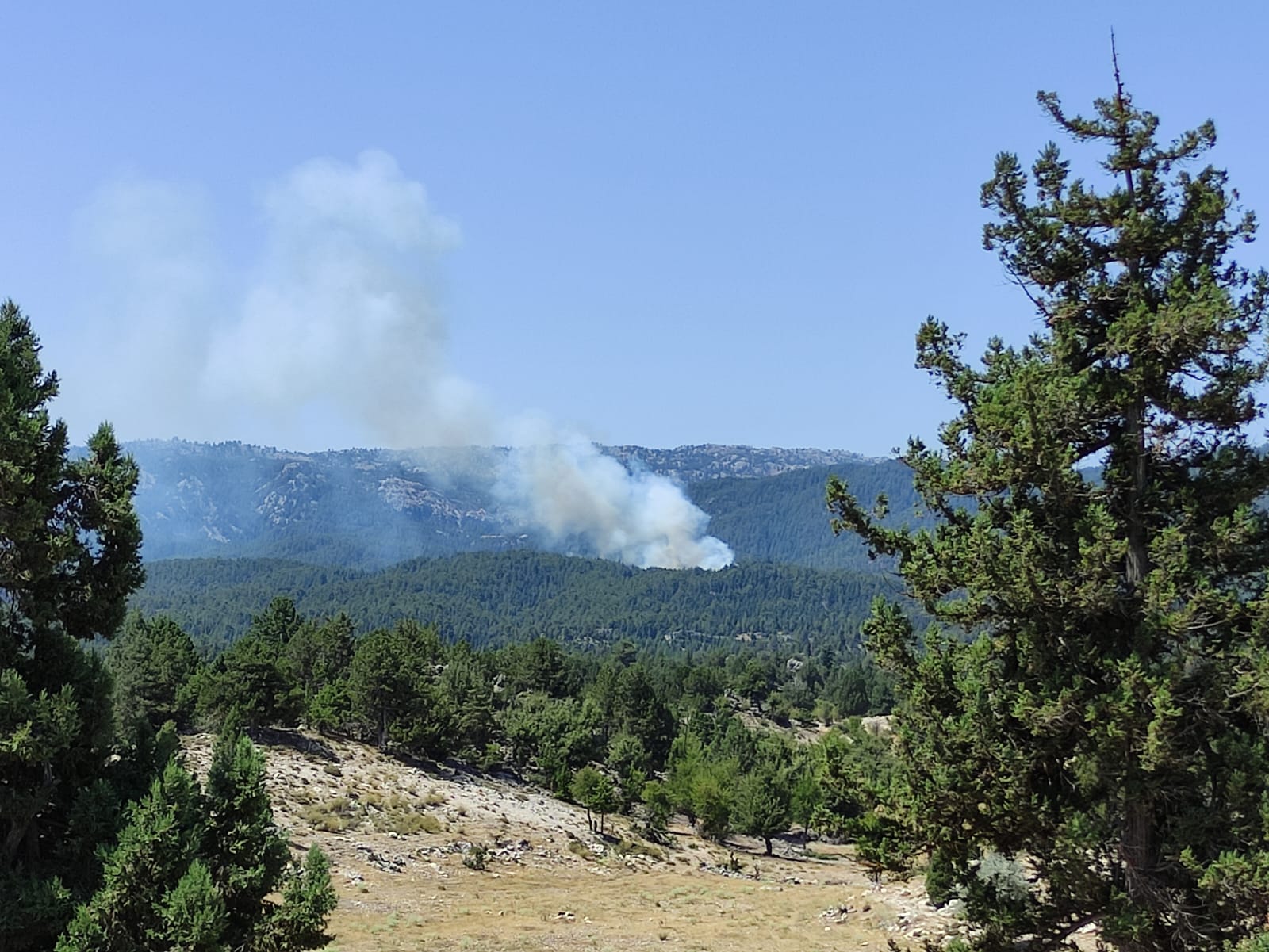 Mersin'de Orman yangını alarmı, Bozyazı'nın yeşil kalbi alevlere teslim oldu!