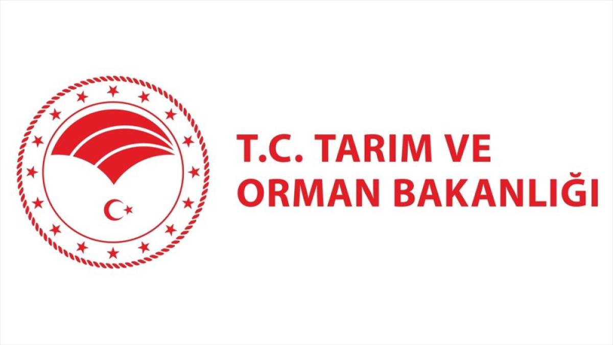 Bakanlık: Marmara&rsquo;da &ccedil;ekirge istilası tespit edilmedi