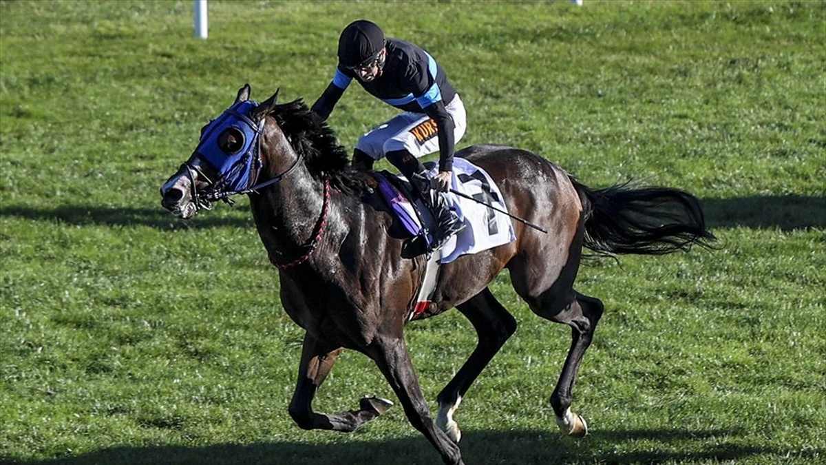 Ankara’da at yarışları heyecanı: 45. Cumhuriyet ve 87. Cumhurbaşkanlığı koşuları