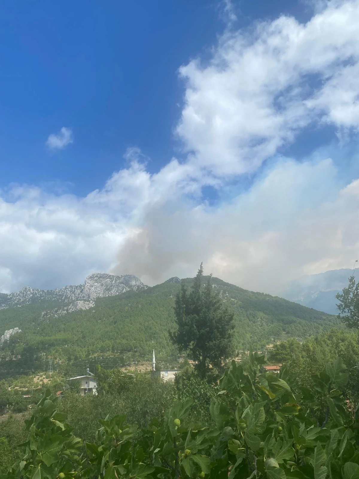 Antalya Manavgat&rsquo;ta orman yangını: Alevlerle m&uuml;cadele s&uuml;r&uuml;yor