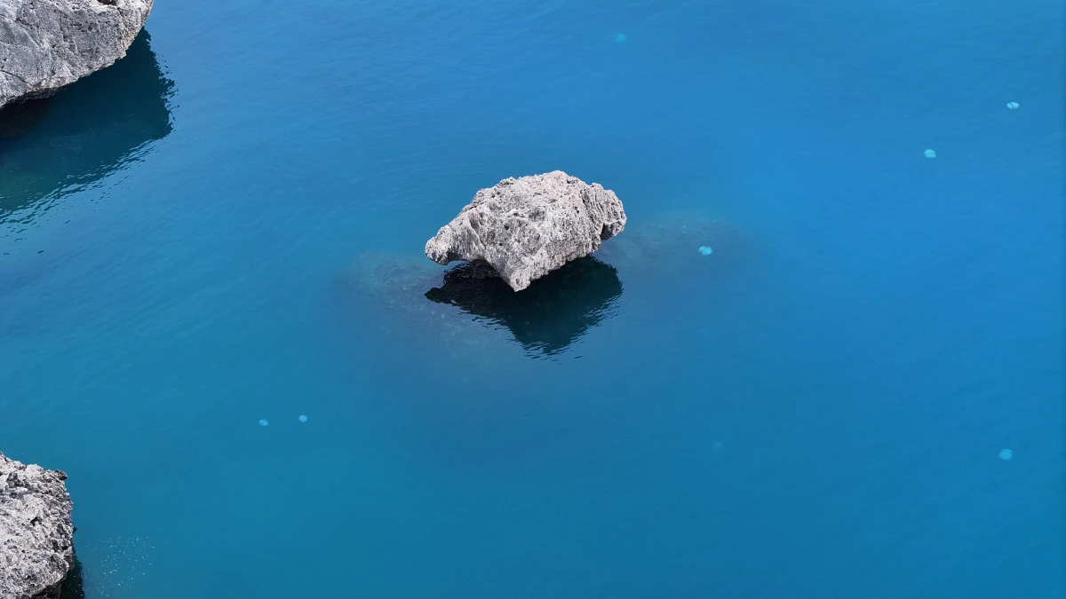 Antalya&rsquo;da Denizanası Alarmı: Denize Girerken Bir Kez Daha D&uuml;ş&uuml;n&uuml;n!