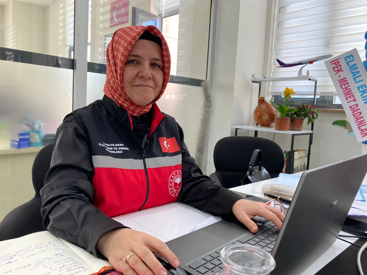 Antalya’da fırtına sonrası seralarda büyük hasar