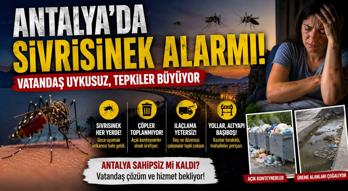 Antalya'da Sivrisinek Alarmı! Vatandaş Uykusuz, Tepkiler B&uuml;y&uuml;yor