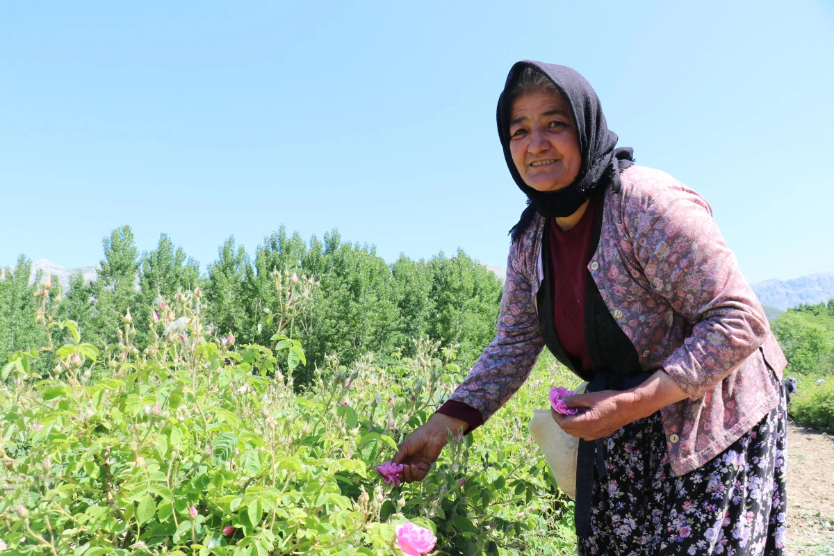Bakır Kazandan Parf&uuml;m D&uuml;nyasına Sagalassos&rsquo;un G&uuml;l Hik&acirc;yesi