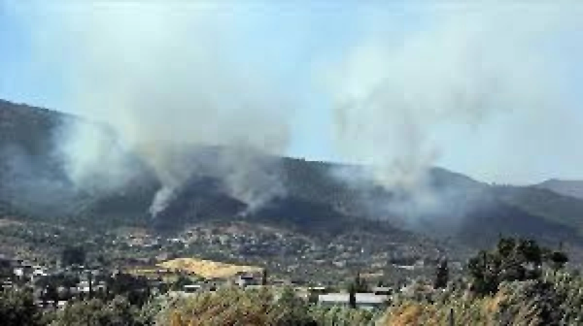 Belen İlçesinde orman yanmaya devam ediyor