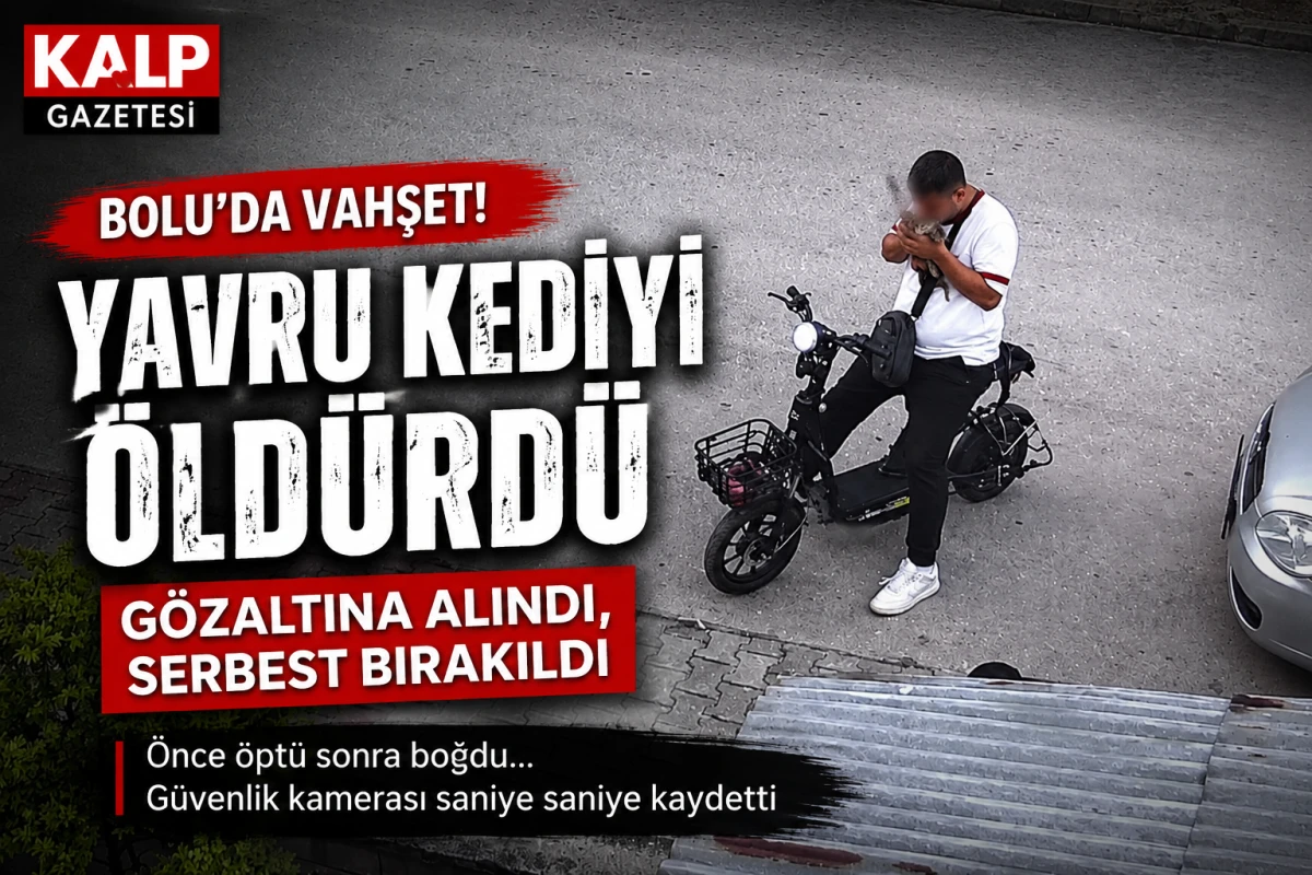 Bolu'da yavru kediyi &ouml;ld&uuml;ren &ccedil;ocuk serbest bırakıldı, tepki b&uuml;y&uuml;d&uuml;