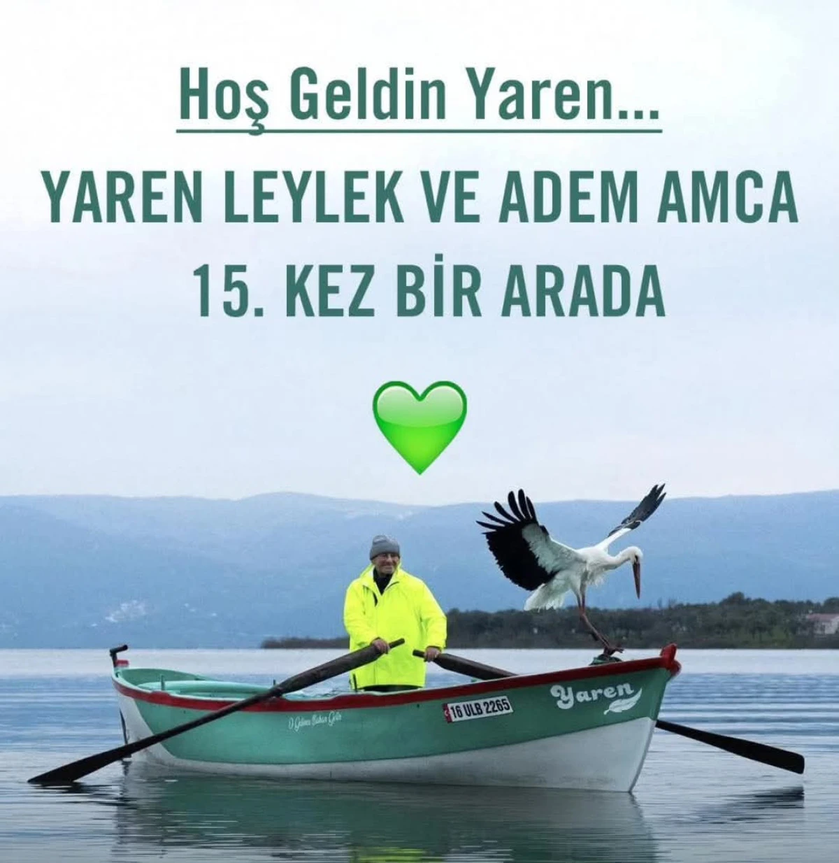 Bursa&rsquo;da Baharın M&uuml;jdecisi: Yaren Leylek 15. Kez Geri D&ouml;nd&uuml;