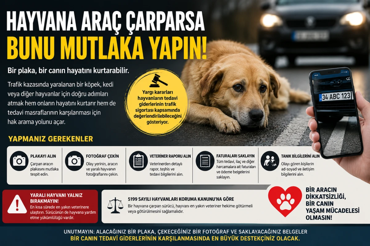 Can dostlara ara&ccedil; &ccedil;arparsa bunu mutlaka yapın! Plakayı alın