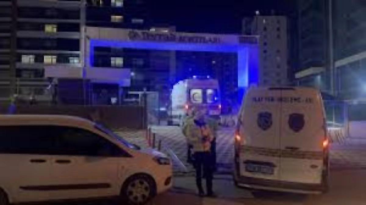 Kardeşini &ouml;ld&uuml;ren, annesini yaralayan kişi intihar etti