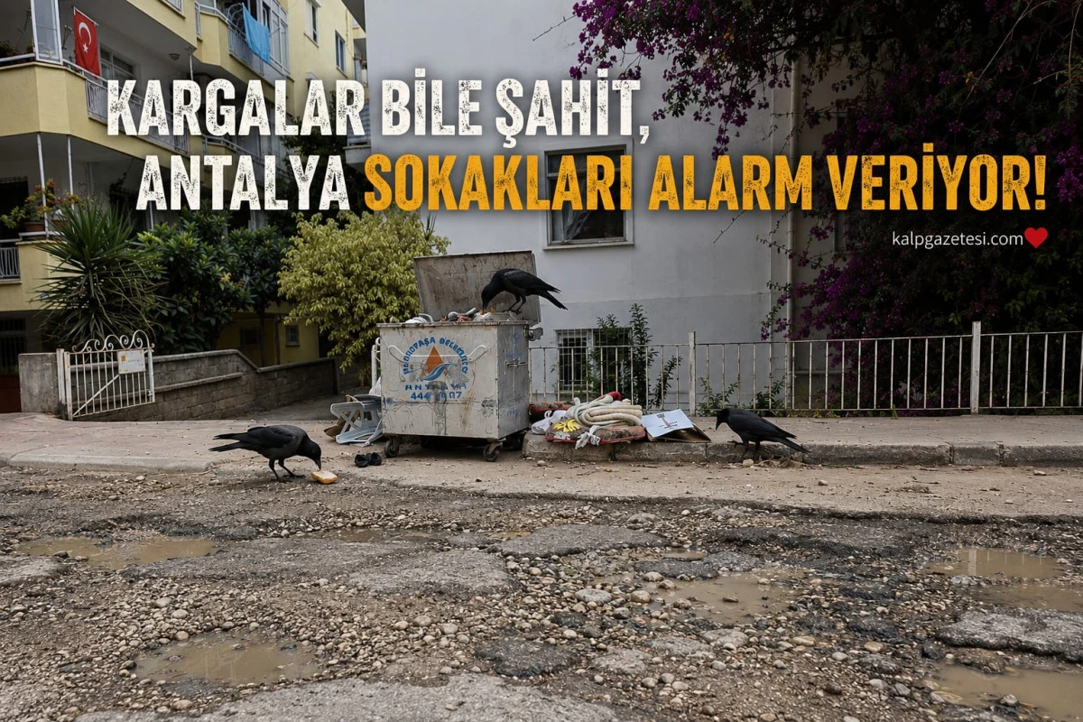 Kargalar bile şahit Antalya sokakları alarm veriyor!!!
