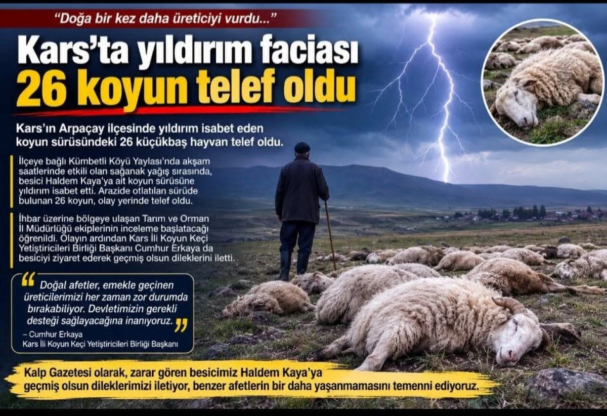 KARS'TA G&Ouml;KY&Uuml;Z&Uuml;NDEN GELEN YILDIRIM FACİASI