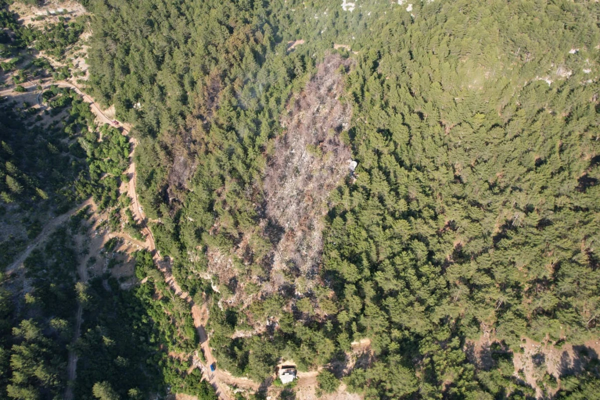 Kaş&rsquo;ta &ccedil;ıkan orman yangını erken m&uuml;dahaleyle felakete d&ouml;n&uuml;şmedi