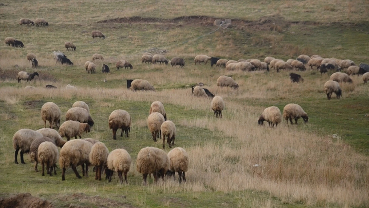 Kırsalda &Uuml;retimi G&uuml;&ccedil;lendirmek, Aile işletmelerini "Can Suyu"