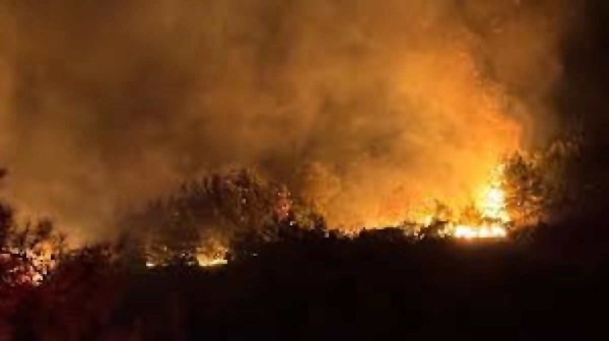 Kış G&uuml;n&uuml; Alanya'da ormanlık alanda yangın