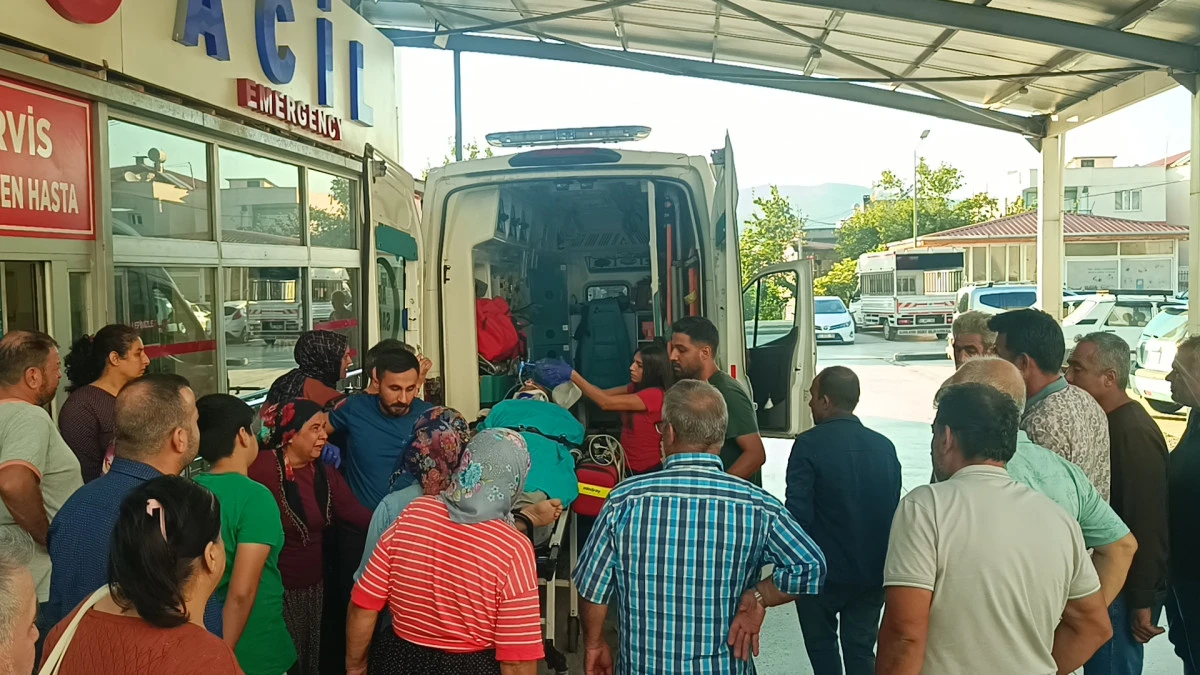 Kozan&rsquo;da ağa&ccedil; kesimi sırasında feci kaza: Kestiği ağacın altında kaldı