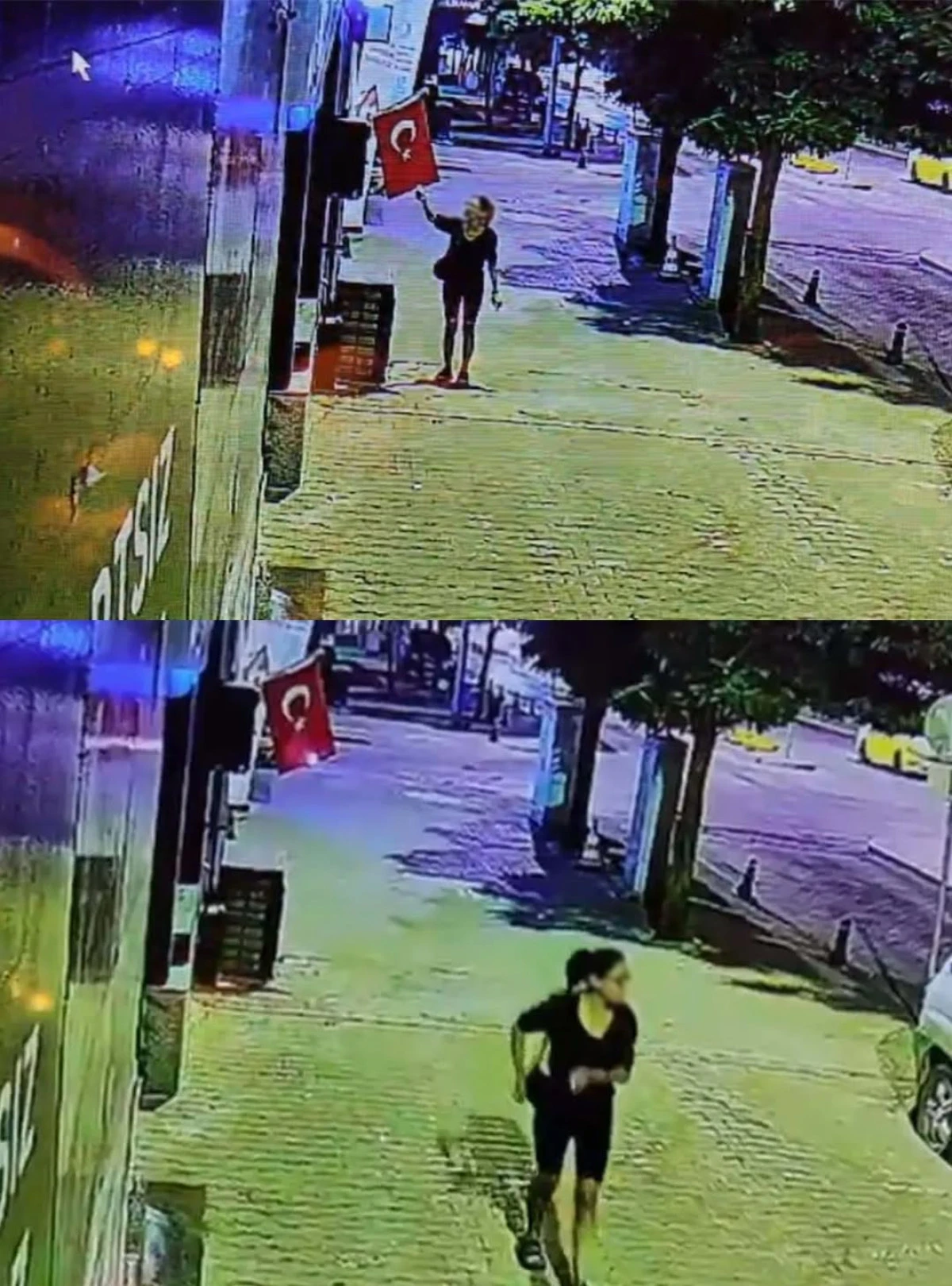 Menteşe&rsquo;de T&uuml;rk bayrağına al&ccedil;ak saldırı: Ateşe verdi