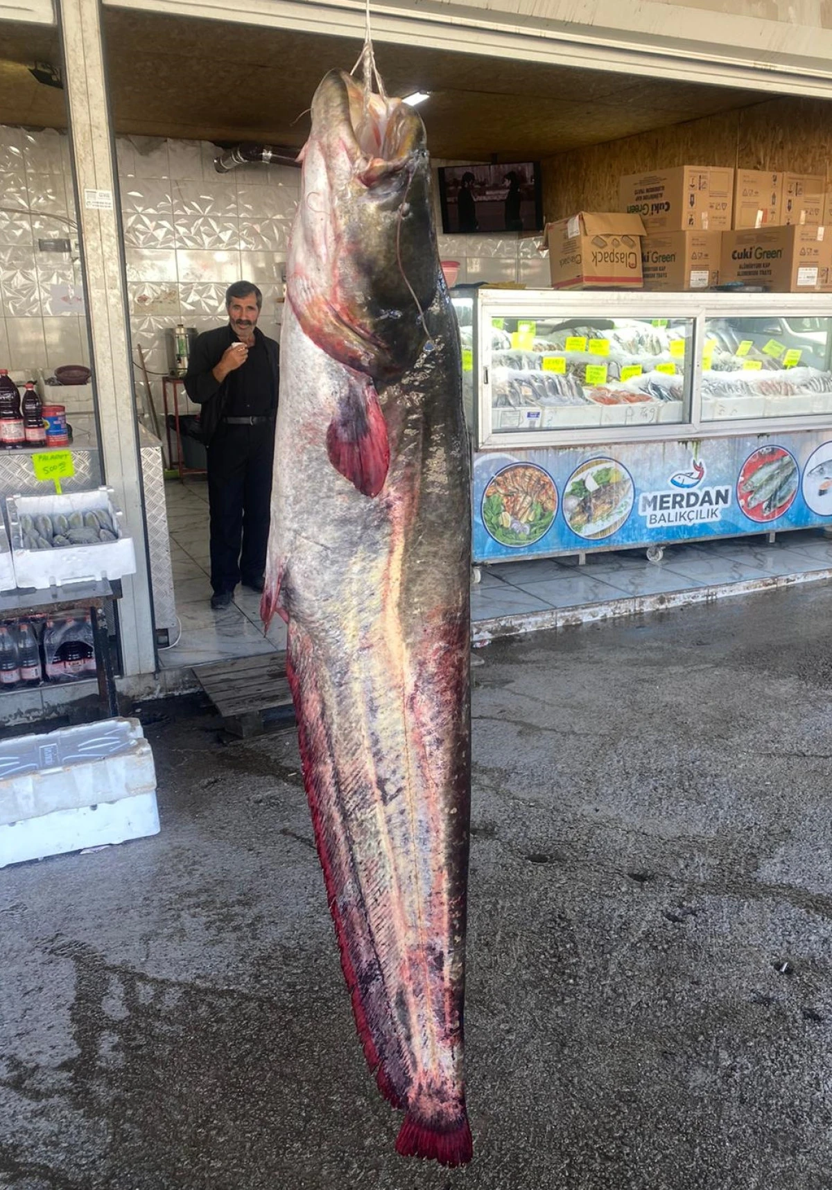 Menzelet&rsquo;te dev av: 100 Kiloluk yayın balığı şaşkınlık yarattı