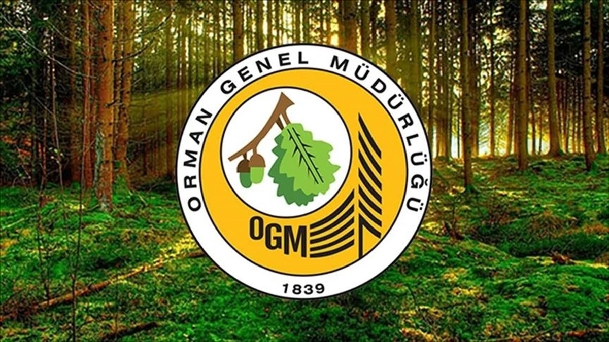 OGM 496 Yeni personel alımı başladı: Bakan Yumaklı’dan duyuru