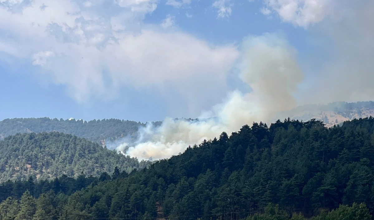 Serik&rsquo;te orman yangını b&uuml;y&uuml;yor: Alevlere havadan karadan m&uuml;dahale