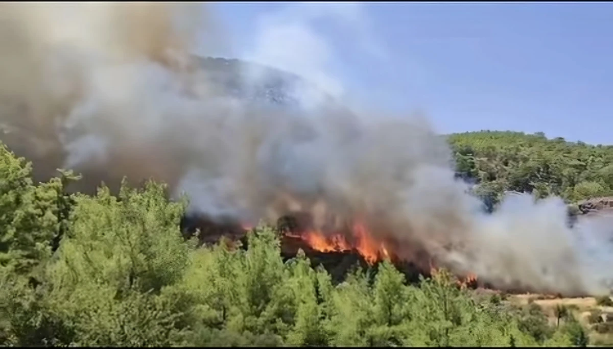 Son Dakika! Olympos'ta orman yangını! Alevler kısa s&uuml;rede b&uuml;y&uuml;d&uuml;