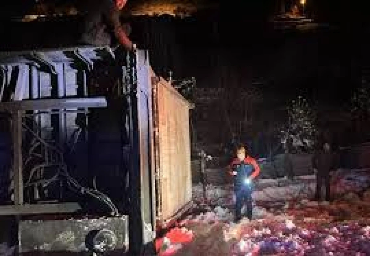 Tırda bulunan 47 b&uuml;y&uuml;kbaş hayvan kurtarıldı 1 hayvanda telef oldu