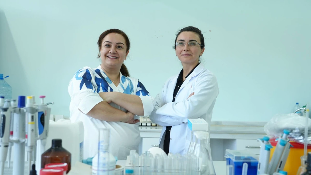 T&Uuml;SEB destekli projede, Karab&uuml;k &Uuml;niversitesi nanopartik&uuml;l tabanlı ila&ccedil; taşıma sistemi &uuml;zerinde &ccedil;alışacak