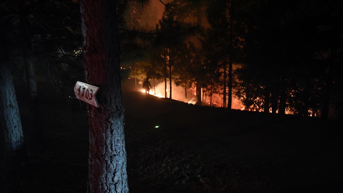 Yangın ekolojisi uzmanından uyarı: Büyük orman yangın çağına girmiş durumdayız