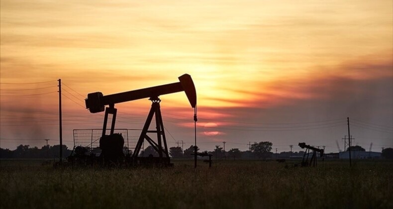 OPEC’in petrol üretimi martta arttı