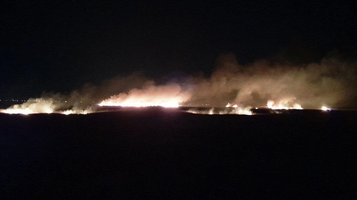 Mersin’de Göksu Deltası’nda çıkan yangın kontrol altına alındı