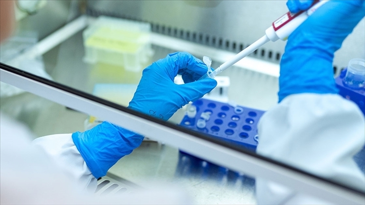 DSÖ: Avrupa ve ABD’de en az 169 ‘gizemli hepatit’ vakası tespit edildi