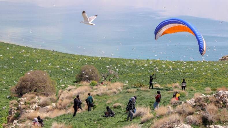 Van Gölü’ndeki Çarpanak Adası fotoğraf tutkunlarını ağırladı