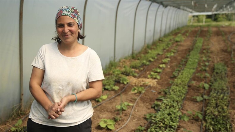 Köyüne yerleşen Necla hemşire atıl arazileri tarıma kazandırdı