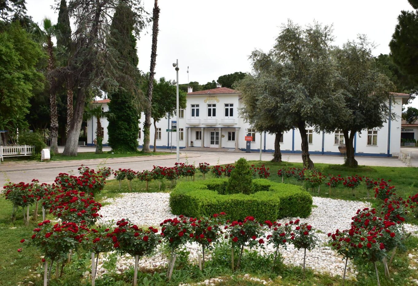 Baharın renkleri Dokumapark’ta