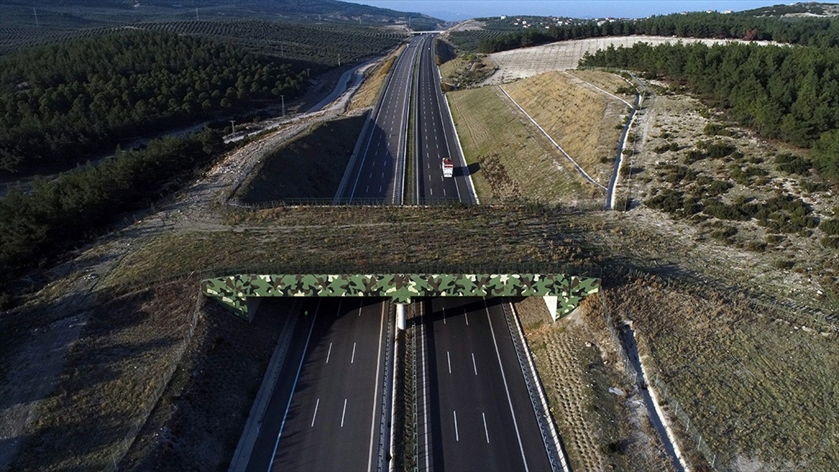 AA-20220605-28075433-28075432-BAKAN_KARAISMAILOGLU_CEVRECI_YATIRIMLARLA_EKONOMIYE_YILLIK_282_MILYAR_DOLAR_KATKI_SAGLIYORUZ