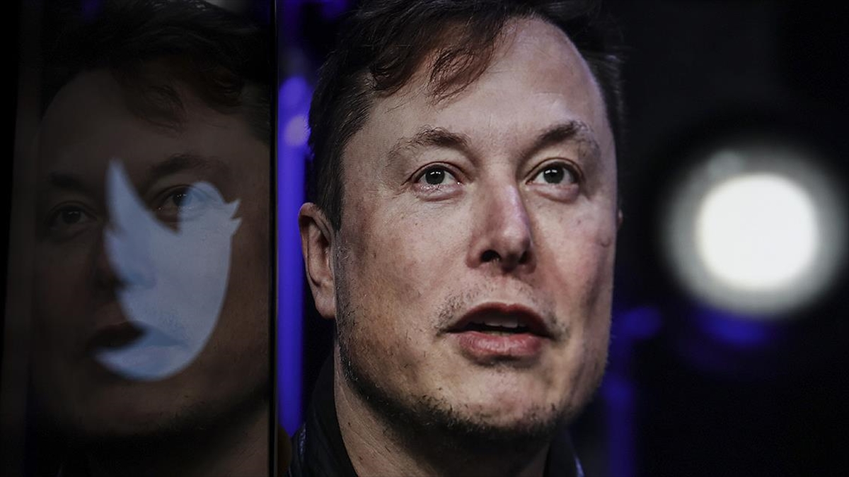 Elon Musk, Twitter’ı spam hesaplar hakkında bilgi edinme hakkını “engellemekle” suçladı