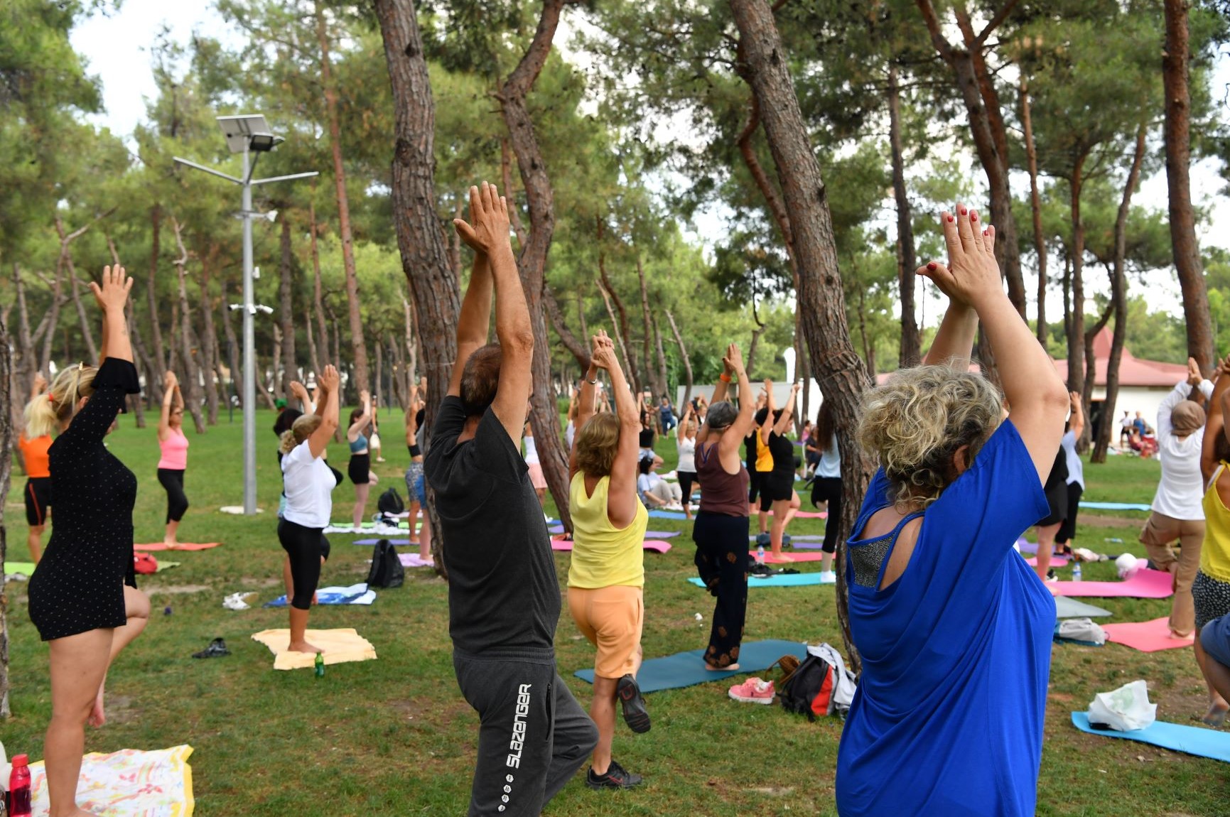 Barışa evet sloganıyla yoga yaptılar