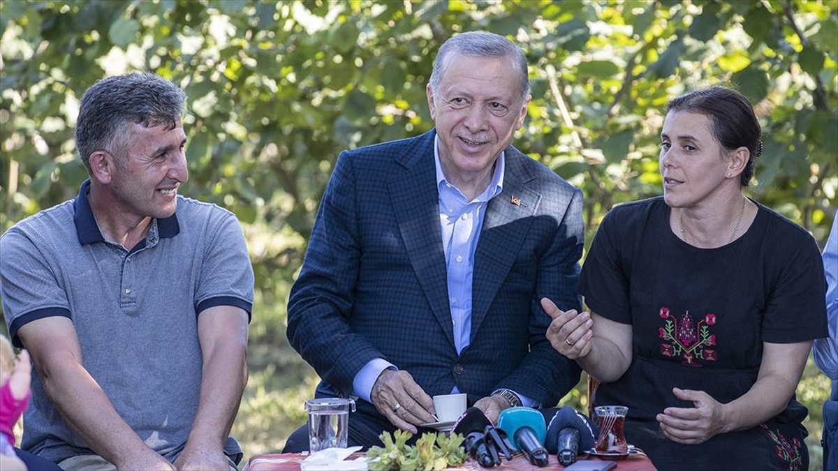 Cumhurbaşkanı Erdoğan Ordu’da fındık bahçesinde vatandaşlarla bir araya geldi