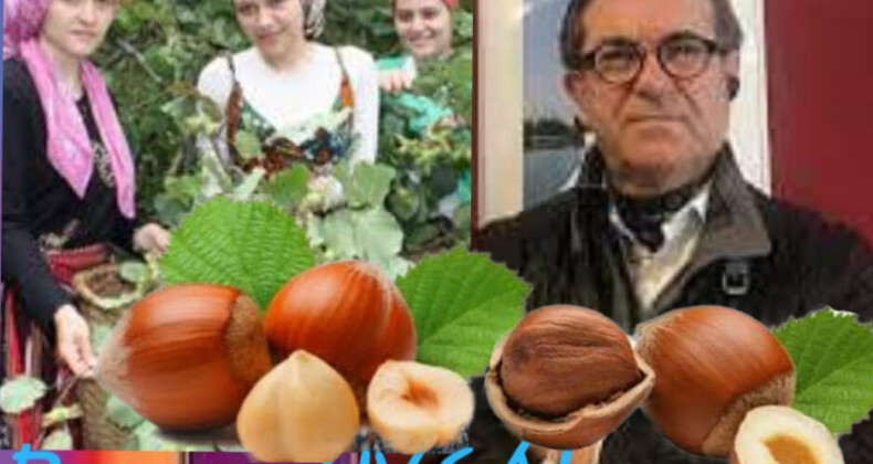 Fındığın Bende Unutulmaz Bir Anısı!