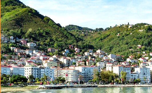 rus-yapimi-mayin-tetikleyicisi-ordu-sahiline-15141382_local_sd