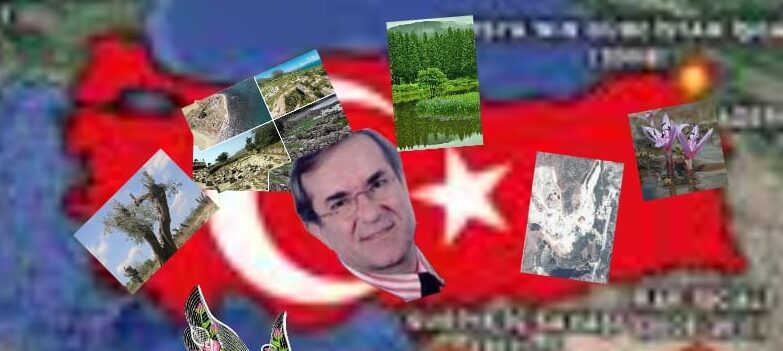 TÜRKİYE’DE TÜRK FLORASI YOK EDİLMEK İSTENİYOR!