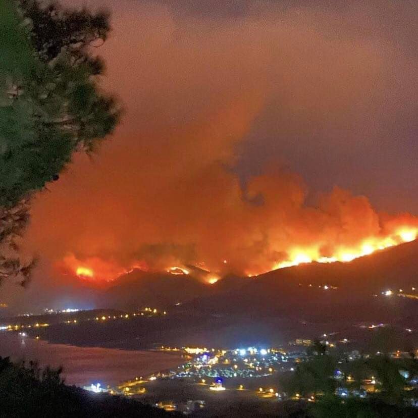 Mersin-Gülnar’da çıkan orman yangınını rüzgar endişelendiriyor