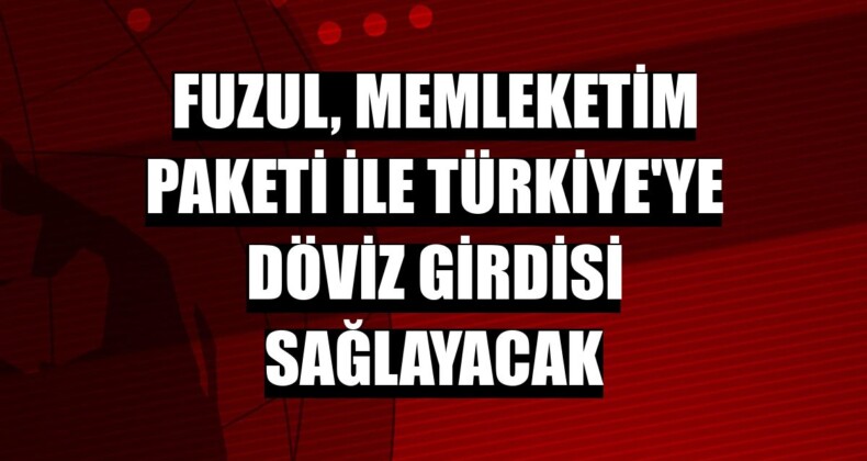 Fuzul, Memleketim Paketi ile Türkiye’ye döviz girdisi sağlayacak