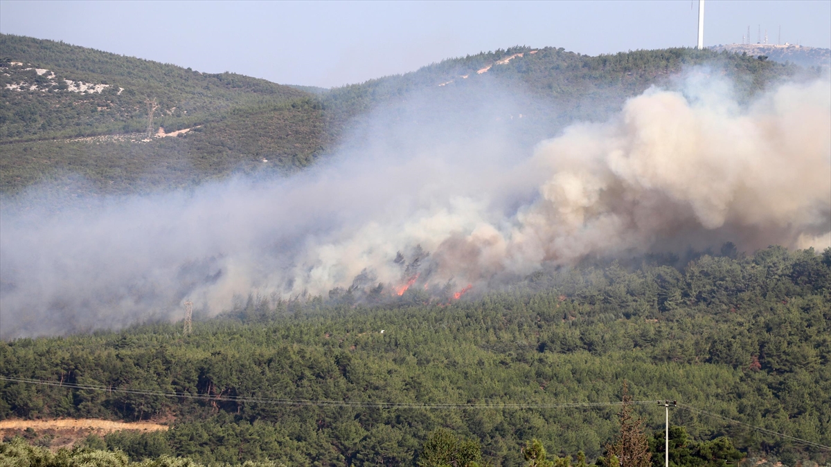 Manisa Soma’daki orman yangını kontrol altına alındı