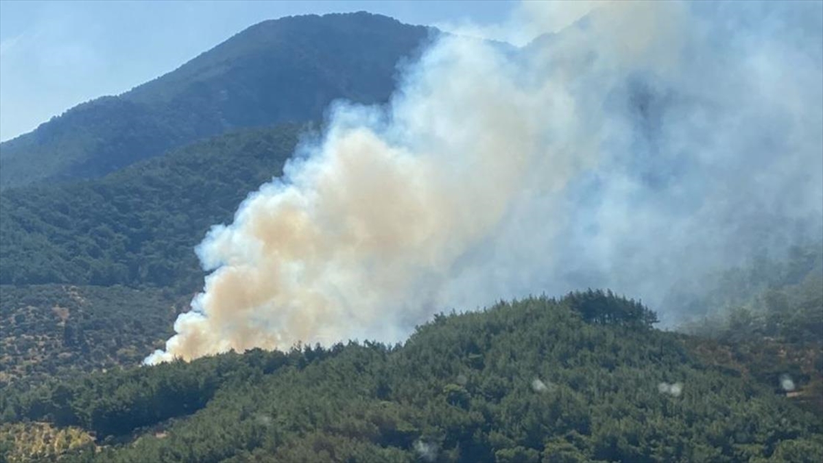İzmir Kemalpaşa’da çıkan orman yangınına müdahale ediliyor