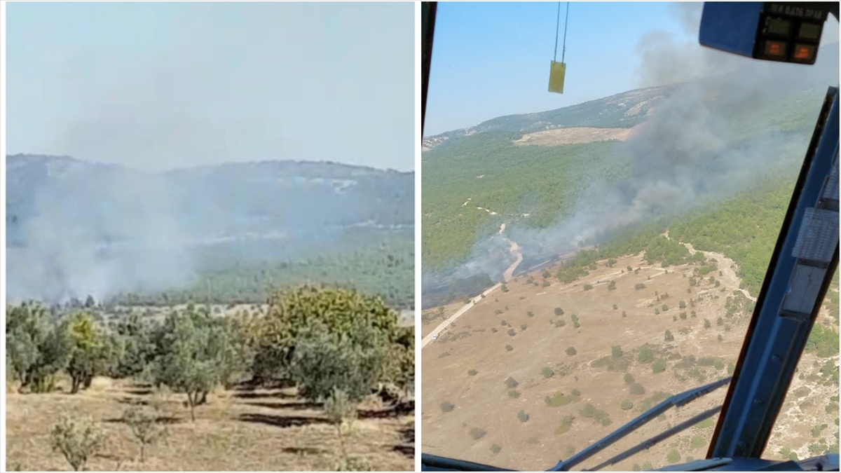 Manisa’da çıkan orman yangınına havadan ve karadan müdahale ediliyor