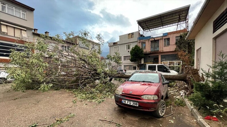 Bursa’da kuvvetli lodos nedeniyle bir ağaç araçların üzerine devrildi