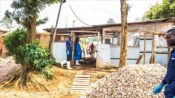 Uganda’daki Ebola salgını sonrası Tanzanya’nın 5 bölgesinde “alarm” durumuna geçildi